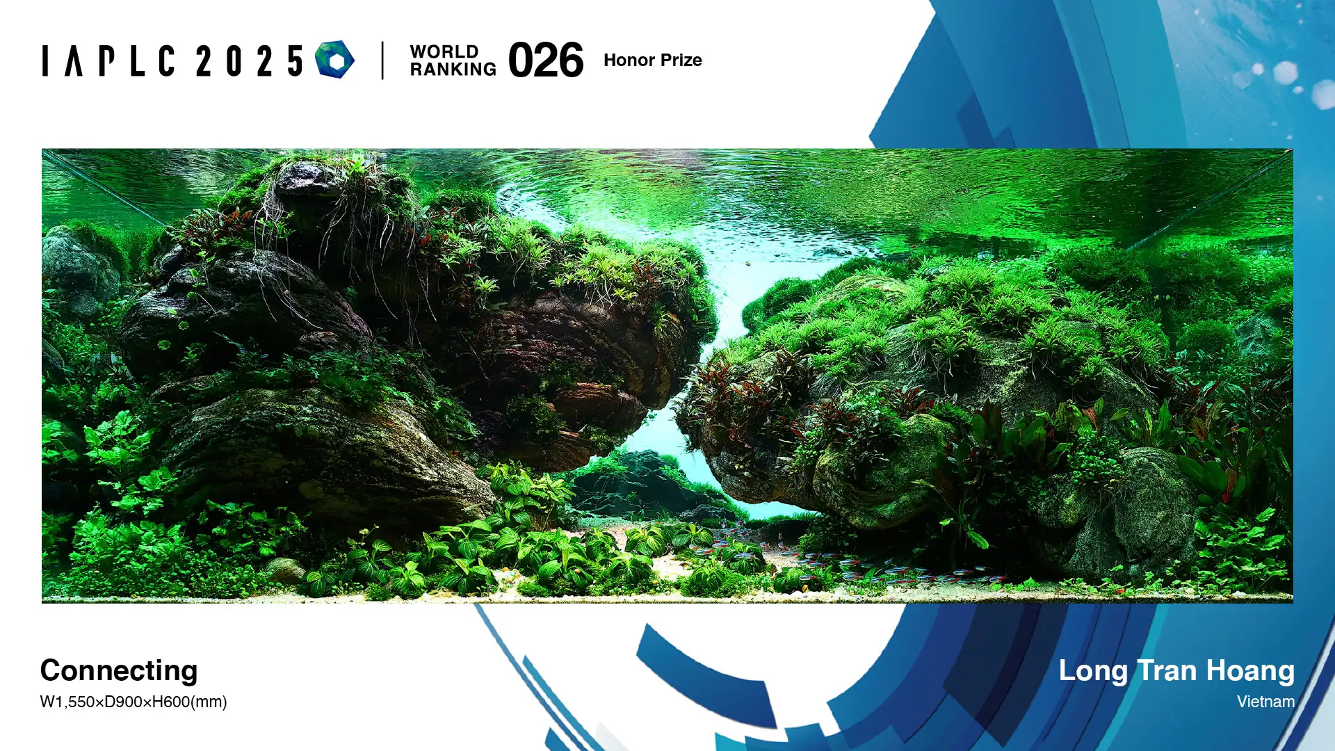 Aquascaping steps - Connecting - IAPLC 2025 Honor Prize - Long Tran Hoang / Vietnam